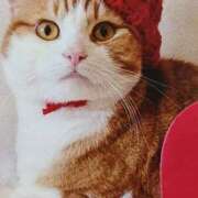 ヒメ日記 2026/02/14 05:09 投稿 いろは 脱がされたい人妻 宇都宮店