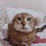 いろは おはようございます(=^ェ^=)💟 脱がされたい人妻 宇都宮店