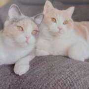 いろは おはようございます(=^ェ^=)☀️ 脱がされたい人妻 宇都宮店