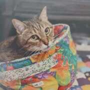 いろは おはようございます(=^ェ^=)🐈️🐱 脱がされたい人妻 宇都宮店