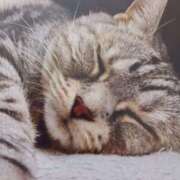 ヒメ日記 2026/02/19 05:33 投稿 いろは 脱がされたい人妻 宇都宮店