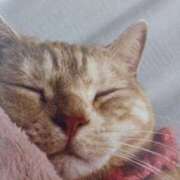 ヒメ日記 2026/02/21 05:31 投稿 いろは 脱がされたい人妻 宇都宮店