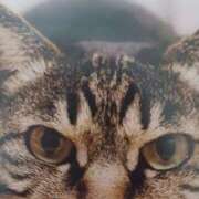 ヒメ日記 2026/02/22 06:02 投稿 いろは 脱がされたい人妻 宇都宮店