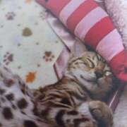 ヒメ日記 2026/02/23 06:26 投稿 いろは 脱がされたい人妻 宇都宮店