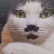 ヒメ日記 2026/02/25 05:59 投稿 いろは 脱がされたい人妻 宇都宮店