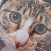 ヒメ日記 2026/02/28 06:28 投稿 いろは 脱がされたい人妻 宇都宮店