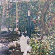 ヒメ日記 2026/03/01 05:44 投稿 いろは 脱がされたい人妻 宇都宮店