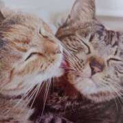 ヒメ日記 2026/03/03 05:25 投稿 いろは 脱がされたい人妻 宇都宮店