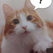 ヒメ日記 2026/03/04 16:36 投稿 いろは 脱がされたい人妻 宇都宮店