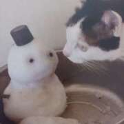 ヒメ日記 2026/03/10 05:53 投稿 いろは 脱がされたい人妻 宇都宮店