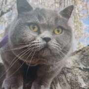 ヒメ日記 2026/03/15 07:01 投稿 いろは 脱がされたい人妻 宇都宮店