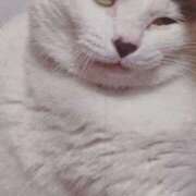 ヒメ日記 2026/03/16 05:02 投稿 いろは 脱がされたい人妻 宇都宮店