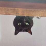 ヒメ日記 2026/03/17 06:38 投稿 いろは 脱がされたい人妻 宇都宮店