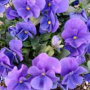 ヒメ日記 2026/03/18 05:32 投稿 いろは 脱がされたい人妻 宇都宮店