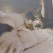 ヒメ日記 2026/03/22 05:31 投稿 いろは 脱がされたい人妻 宇都宮店