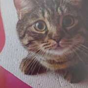 ヒメ日記 2026/03/23 05:23 投稿 いろは 脱がされたい人妻 宇都宮店