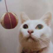 ヒメ日記 2026/03/24 04:59 投稿 いろは 脱がされたい人妻 宇都宮店