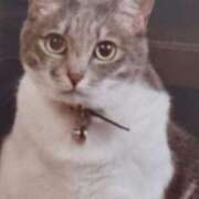 ヒメ日記 2026/03/25 05:32 投稿 いろは 脱がされたい人妻 宇都宮店