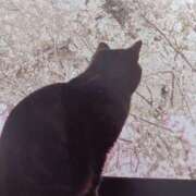 ヒメ日記 2026/03/27 05:57 投稿 いろは 脱がされたい人妻 宇都宮店