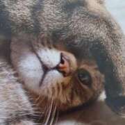 ヒメ日記 2026/03/29 08:51 投稿 いろは 脱がされたい人妻 宇都宮店