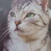 ヒメ日記 2026/03/31 06:09 投稿 いろは 脱がされたい人妻 宇都宮店