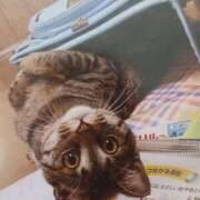 ヒメ日記 2026/04/01 04:43 投稿 いろは 脱がされたい人妻 宇都宮店