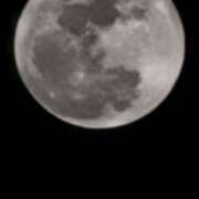 ヒメ日記 2026/04/02 22:10 投稿 いろは 脱がされたい人妻 宇都宮店