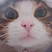 ヒメ日記 2026/04/04 05:31 投稿 いろは 脱がされたい人妻 宇都宮店