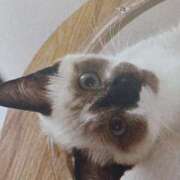 いろは おはようございます(=^ェ^=)🌸 脱がされたい人妻 宇都宮店