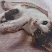 ヒメ日記 2026/04/09 05:46 投稿 いろは 脱がされたい人妻 宇都宮店