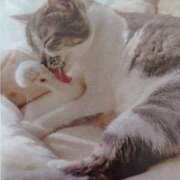 ヒメ日記 2026/04/10 05:31 投稿 いろは 脱がされたい人妻 宇都宮店