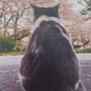 ヒメ日記 2026/04/14 05:10 投稿 いろは 脱がされたい人妻 宇都宮店