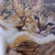 ヒメ日記 2026/04/17 04:59 投稿 いろは 脱がされたい人妻 宇都宮店