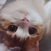 ヒメ日記 2026/04/19 04:58 投稿 いろは 脱がされたい人妻 宇都宮店