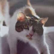 ヒメ日記 2026/04/21 05:16 投稿 いろは 脱がされたい人妻 宇都宮店