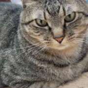 ヒメ日記 2026/04/22 05:49 投稿 いろは 脱がされたい人妻 宇都宮店