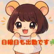 ヒメ日記 2026/05/29 16:05 投稿 いろは 脱がされたい人妻 宇都宮店