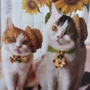 いろは おはようございます(=^ェ^=)🌻 脱がされたい人妻 宇都宮店
