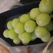 ヒメ日記 2025/09/27 14:04 投稿 恵理(えり) あなたの妻