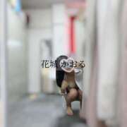 ヒメ日記 2025/05/11 09:53 投稿 花城かおる アソビザ女子社員 イメクラ部