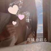 ヒメ日記 2025/05/20 07:30 投稿 花城かおる アソビザ女子社員 イメクラ部