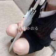 ヒメ日記 2025/05/25 10:21 投稿 花城かおる アソビザ女子社員 イメクラ部