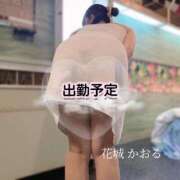 ヒメ日記 2025/06/24 22:30 投稿 花城かおる アソビザ女子社員 イメクラ部