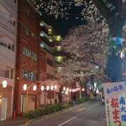 ヒメ日記 2025/04/28 23:14 投稿 ゆな ニューミラージュ