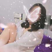 ヒメ日記 2025/04/06 07:01 投稿 桜井 いつき SUMIRE