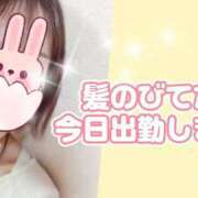 ヒメ日記 2025/04/17 09:13 投稿 えま モアグループ川越人妻花壇