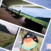 ヒメ日記 2025/04/20 17:08 投稿 えま モアグループ川越人妻花壇