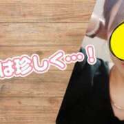 ヒメ日記 2025/05/13 15:59 投稿 えま モアグループ川越人妻花壇