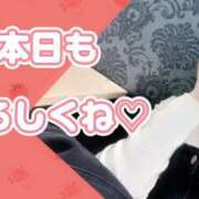 ヒメ日記 2026/03/16 08:56 投稿 えま モアグループ川越人妻花壇