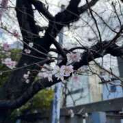 ルウ あけましておめでとうございます🎍 ヴィーナス(金津園)